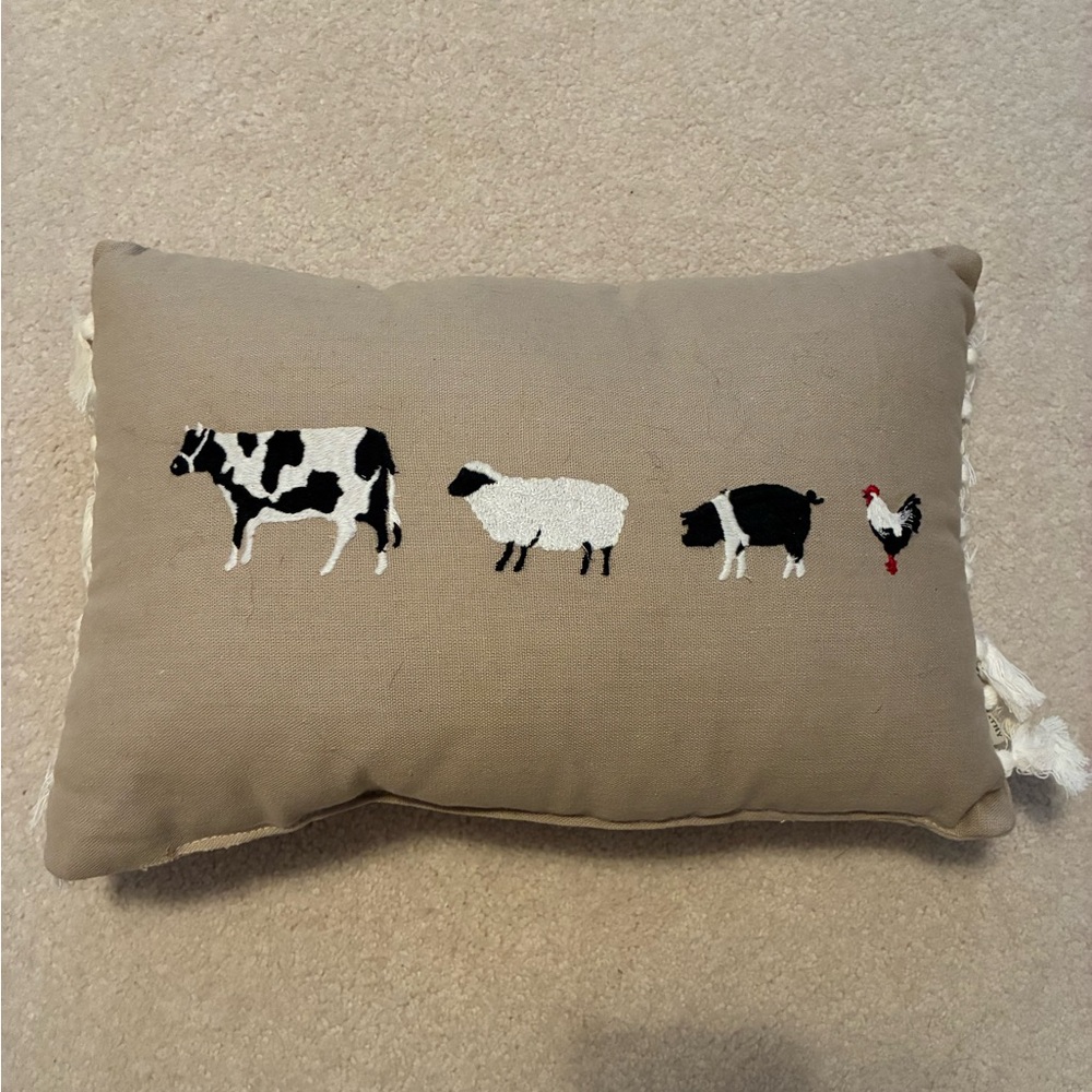 Accent Pillow